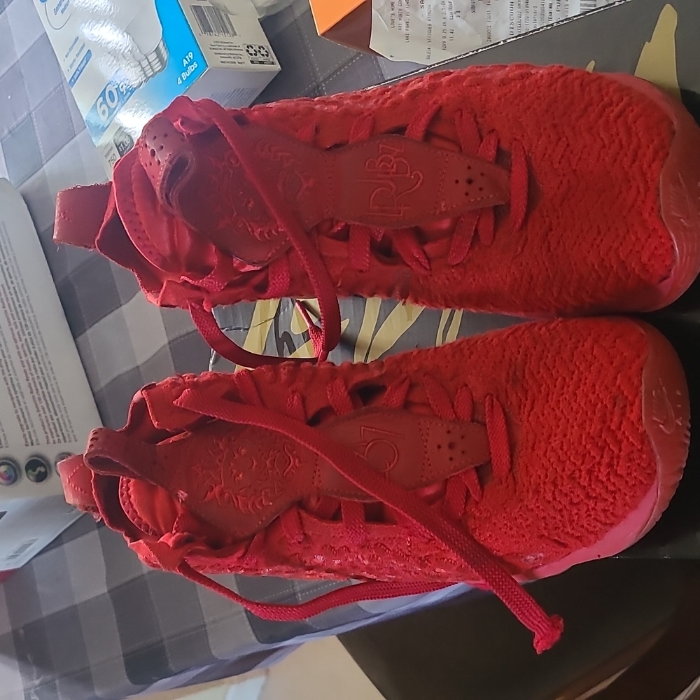 Lebron XVII (17)